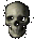 Skull.gif (1561 bytes)